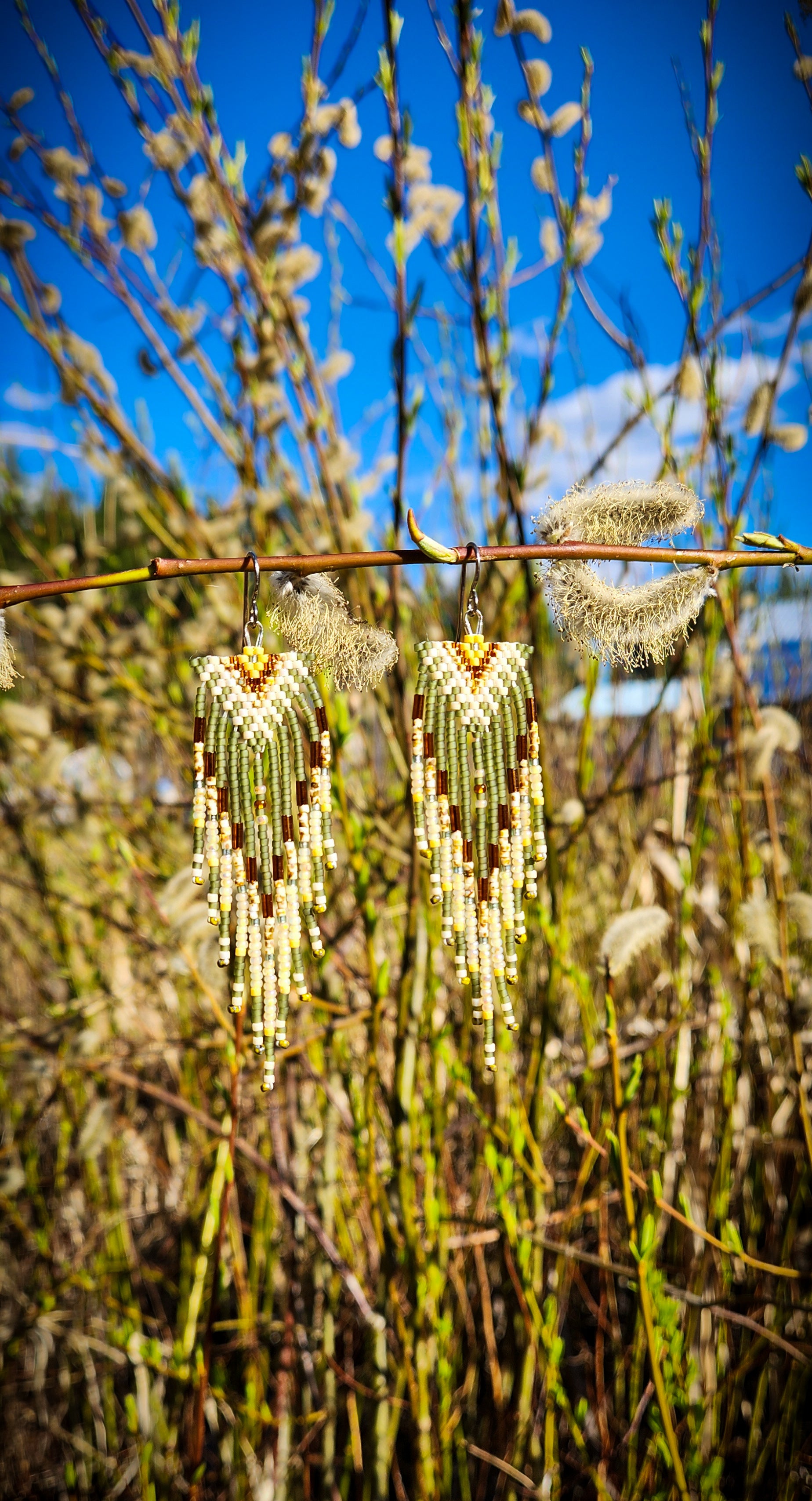 Sun Willows