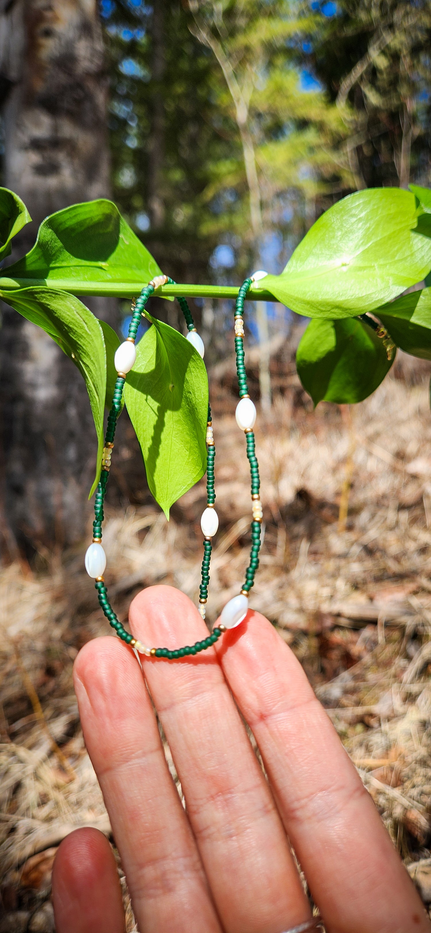 Forest and Pearl No. 1